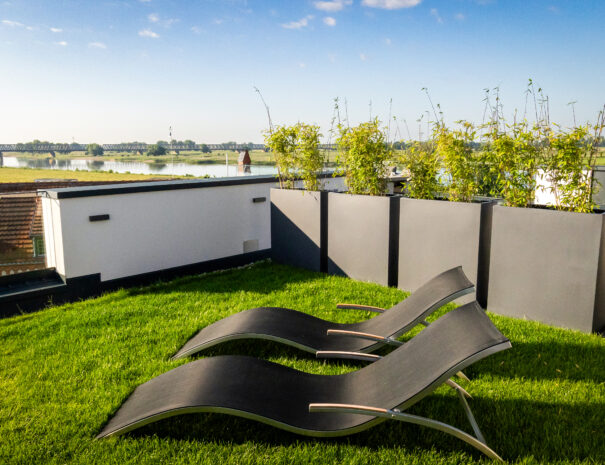 Dachterrasse des ELBE.6 Apartment III mit Sonnenliegen auf der grünen Liegewiese und Blick auf die Elbe.